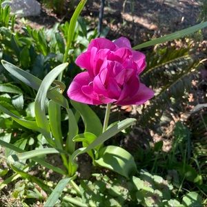 Meet your Posher, Elle